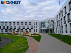 Воронежский депутат жёстко прошёлся по мэрии из-за дороги у мегашколы