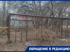 «В мэрию писать бесполезно»: жительница Воронежа выступила с необычной просьбой 