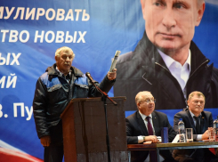 Жители Гороховки Верхнемамонского района поддержали строительство свиноводческого комплекса