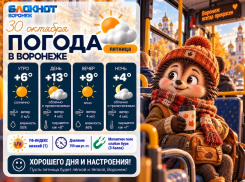 Дожди приближаются: прогноз погоды в Воронеже