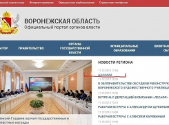 Портал Воронежского правительства закричал, устав от пропаганды