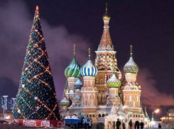 Из Воронежской области на Кремлевскую елку отправятся 40 детей