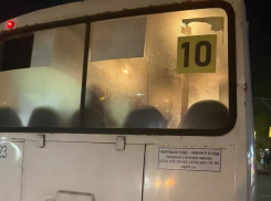 Здесь сидеть запрещено: как воронежский маршрутчик довел пассажирку до ручки