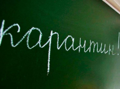 Одну из школ Воронежа закрыли на карантин из-за гриппа
