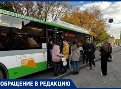Пытка автобусом или люди в консервных банках: через какие муки проходят воронежцы ради поездок в час пик