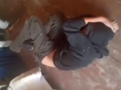 Департамент образования прокомментировал жестокое избиение подростка в воронежском техникуме