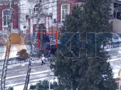 Королевские повадки воронежских VIPов наглядно показали на видео