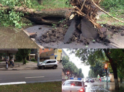 Последствия воронежского урагана – какие беды принесло ненастье горожанам