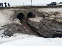 Воронежцы призвали ЮНЕСКО остановить беспощадное убийство реки Усмань