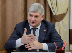 Губернаторские акции Александра Гусева пошли вверх в ноябре