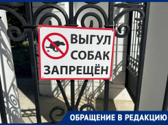 Какающие в запретной зоне собаки возмутили воронежцев