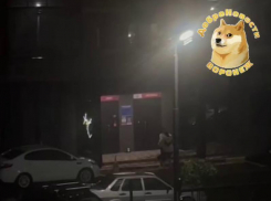 Свидание вопреки непогоде попало на видео в Воронеже