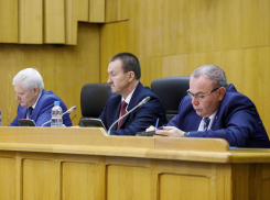 Впервые раскрыт список «профессиональных депутатов» Воронежской облдумы