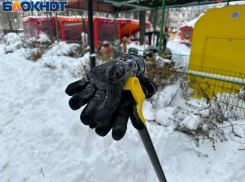 Новый вид заработка придумали воронежцы на фоне снегопада 