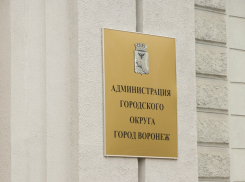 ФАС вскрыла бардак с документами в мэрии Воронежа