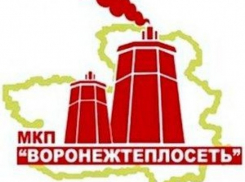Управляющие компании Воронежа должны сотни миллионов рублей за отопление и горячую воду