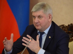Губернатор Гусев запретил торговать кошками на 9 Января в Воронеже