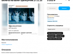 5 тысяч за билет: перекупщики наживаются на новогоднем «Щелкунчике» в Воронеже