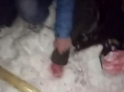 В Воронеже поймали наркоторговцев, отрубивших на видео палец закладчику 