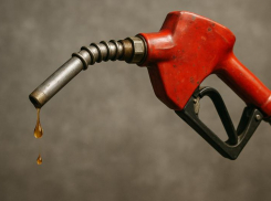 Очередной фейк про топливо и Гусева развеяли в Воронежской области