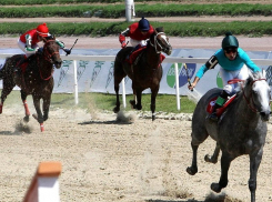 На скачках на Приз Президента России победил воронежский жеребец Жетон