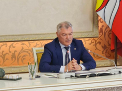 Гибель воронежского урожая после майских заморозков признали ЧС федерального уровня