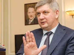 Источник: в Воронеже могут вернуть выборы мэра после ухода Александра Гусева