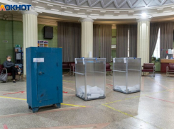 Сразу восемь Вахтиных решили побороться за один депутатский мандат под Воронежем