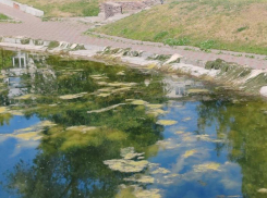 Стало хуже, чем было: озеро-болото возмутило жителей Воронежа