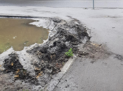 Последствия нашествия гряземесов сфотографировали в Воронеже
