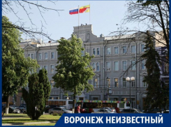 Какие были символы у Воронежа за его 432-летнюю историю