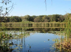 В Воронежской области из реки Хопер подняли тело 11-летнего подростка