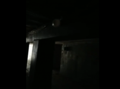 Многострадальный переход у воронежского политеха погрузился во тьму