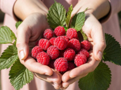 Три рецепта из малины, о которых вы даже не догадывались