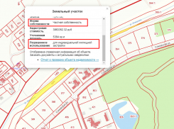 Скандально известная Усманка оказалась в частной собственности в Воронежской области