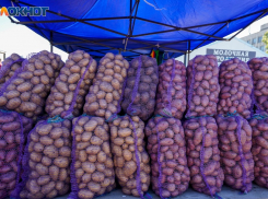 Названы болезни, грозящие картофелю во время хранения