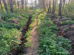 Подрядчик сорвал долгожданное благоустройство парка в Воронеже