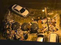 Нечищеные дороги стали причиной мусорного коллапса в воронежском ЖК