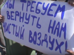 Воронежские чиновники наблюдали из-за кустов, как народ ищет у президента Путина защиты от выбросов «Ника Петротэк»  