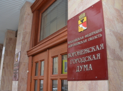 Гордума утвердила список членов комиссии, которой продиктуют имя мэра Воронежа