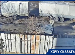 Соседские войны с камерами и громкоговорителями развернулись под Воронежем