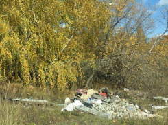 Вместо осеннего леса воронежцы приехали на свалку