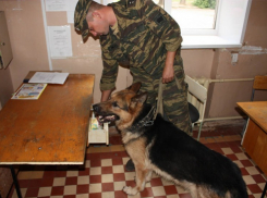 В Воронеже в воскресенье заминировали гимназию №3