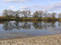 За 45,5 млн рублей под Воронежем очистят реку по проекту 2016 года