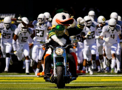 Воронежские «Могучие утки» обыграли «Орлов» в Кубке Черноземья по американскому футболу