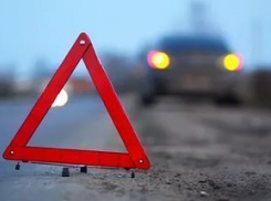 На трассе в Воронежской области «двенадцатая» сбила пенсионера: мужчина скончался