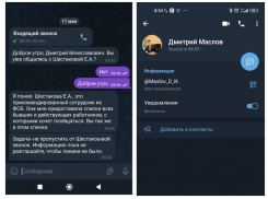 Опубликована переписка от лица воронежского вице-губернатора Маслова с его фейкового аккаунта