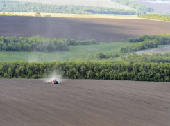 Почти 784 млн рублей запросил Александр Гусев у Правительства России на проведение весенне-полевых работ