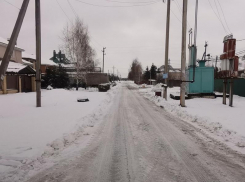 Воронежские общественники призвали власти сделать «бумажных» лежачих полицейских реальными