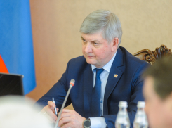 Воронежские чиновники отчитались о зарплатах бюджетников